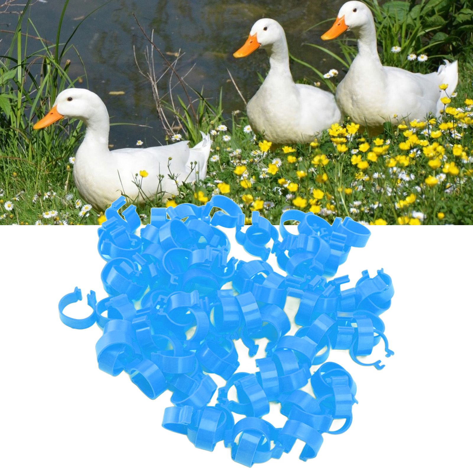 100Pcs Poultry Foot Ring Chicken Bird Duck Identification Leg Bands Open Type view 11