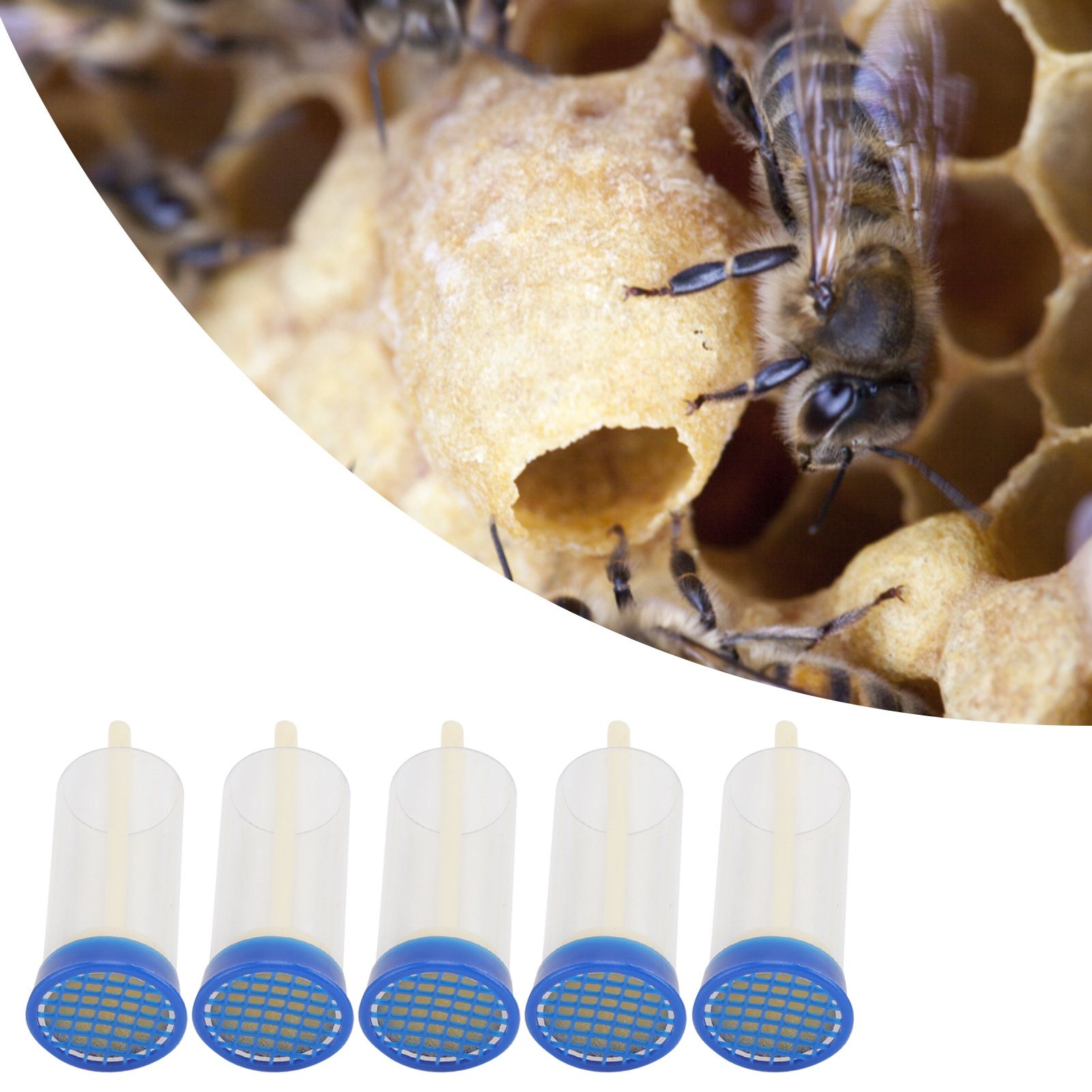5Pcs Queen Bee Marking Cage Soft Safe Lightweight Queen Bee Marking Cage view 12
