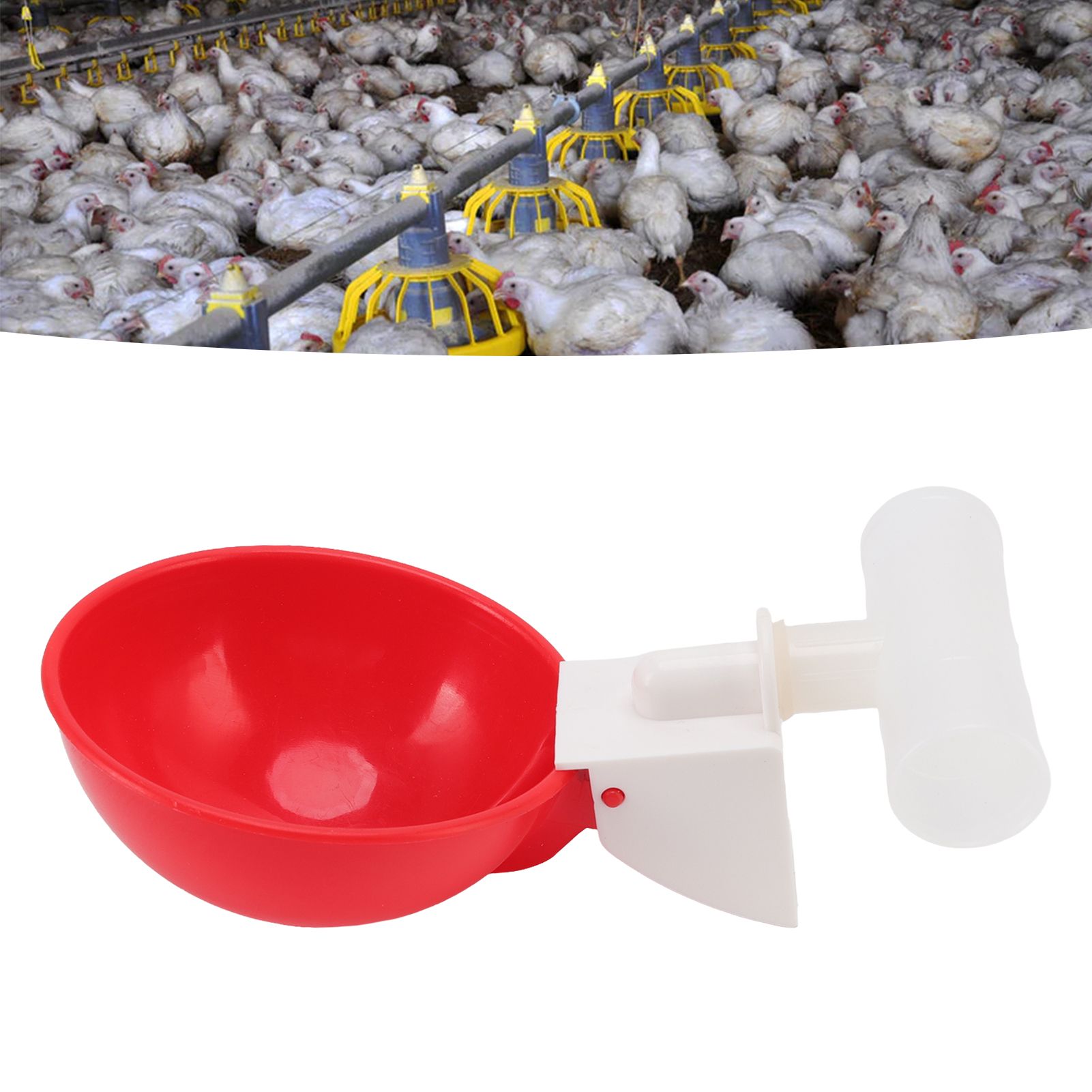 10 Set Chicken Drinking Cup Automatic Water Drinker Big Red Plastic Bowl for view 12