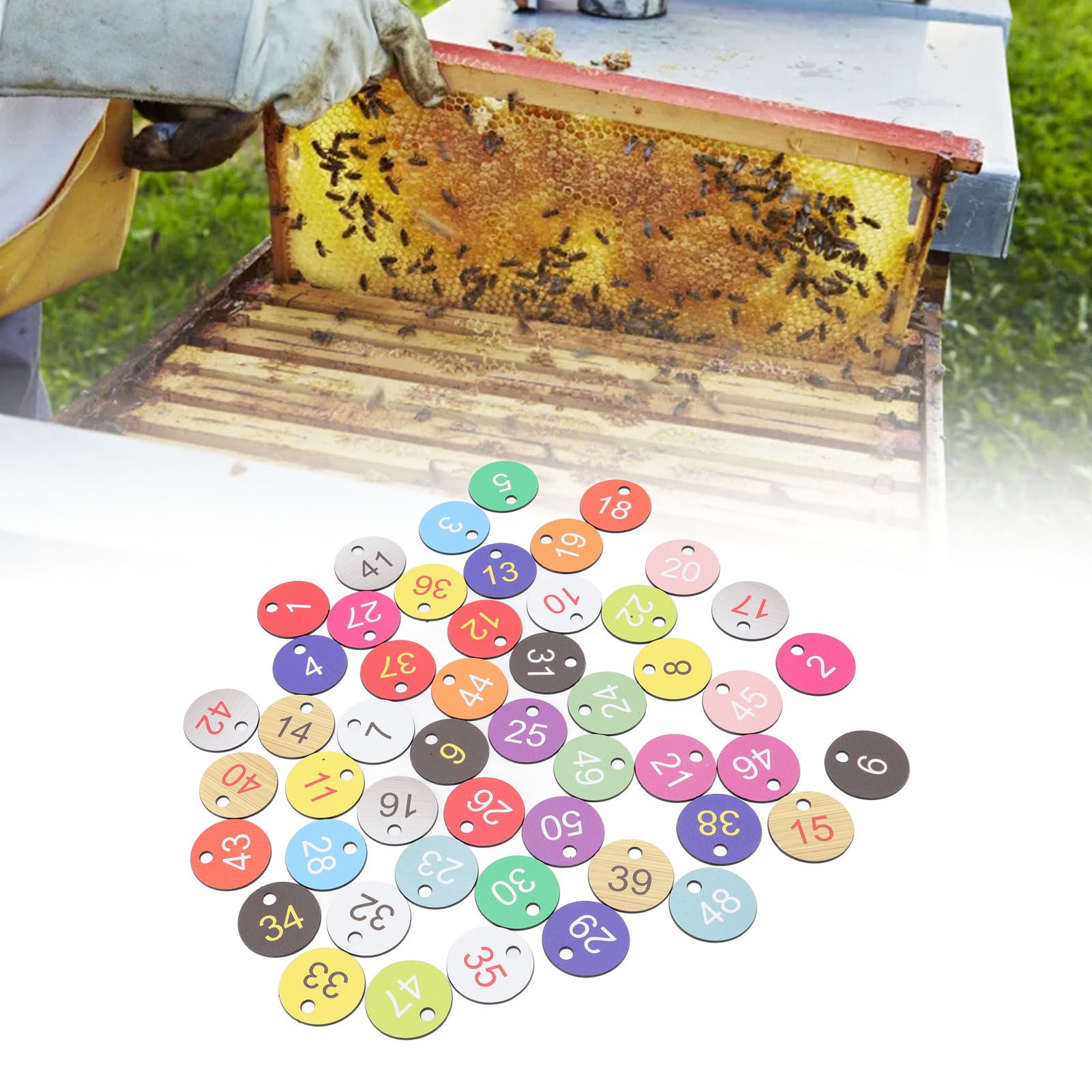 50Pcs Round Plastic Number Tags Plastic Number Labels for Beekeeping Livestock view 11