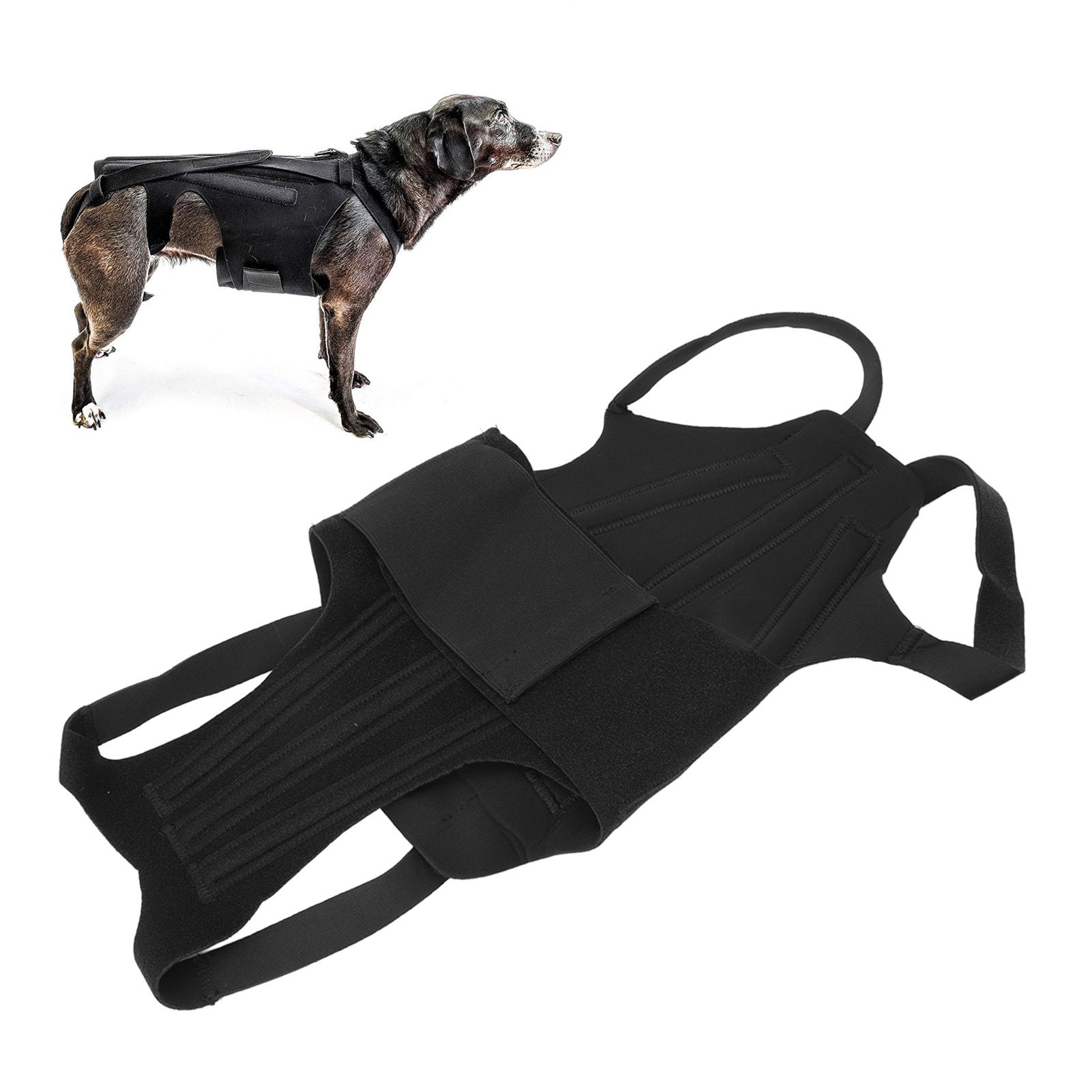 Dog Back Bracer Polyester Strong Rigidity Flexible Back Supporting Vest for view 11