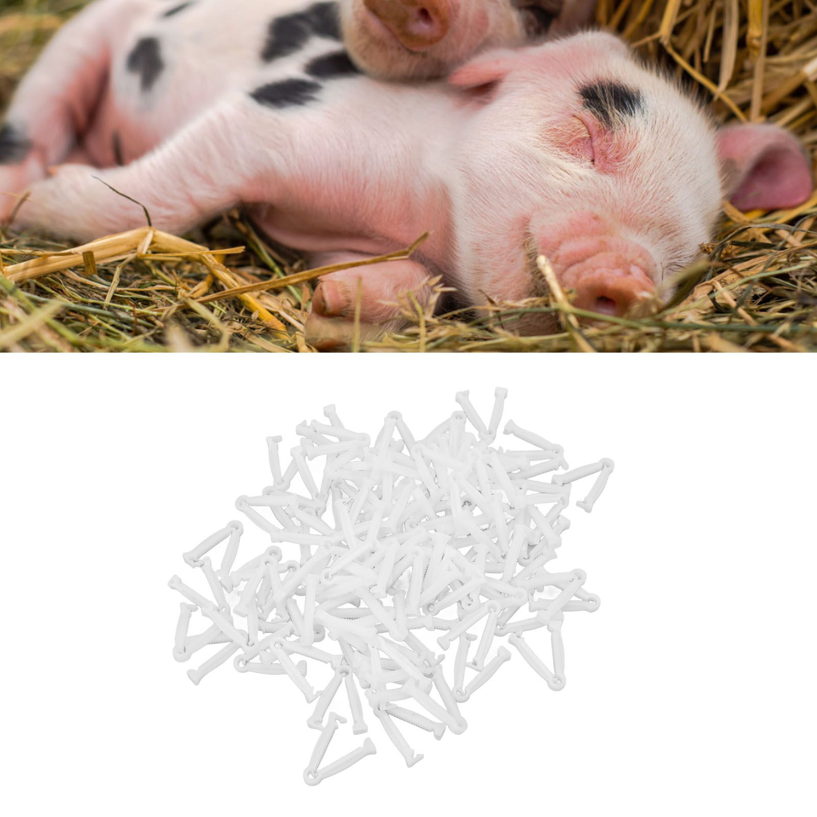100pcs Pig Umbilical Cord Clamps White Plastic Livestock Umbilical Cord Clips view 11
