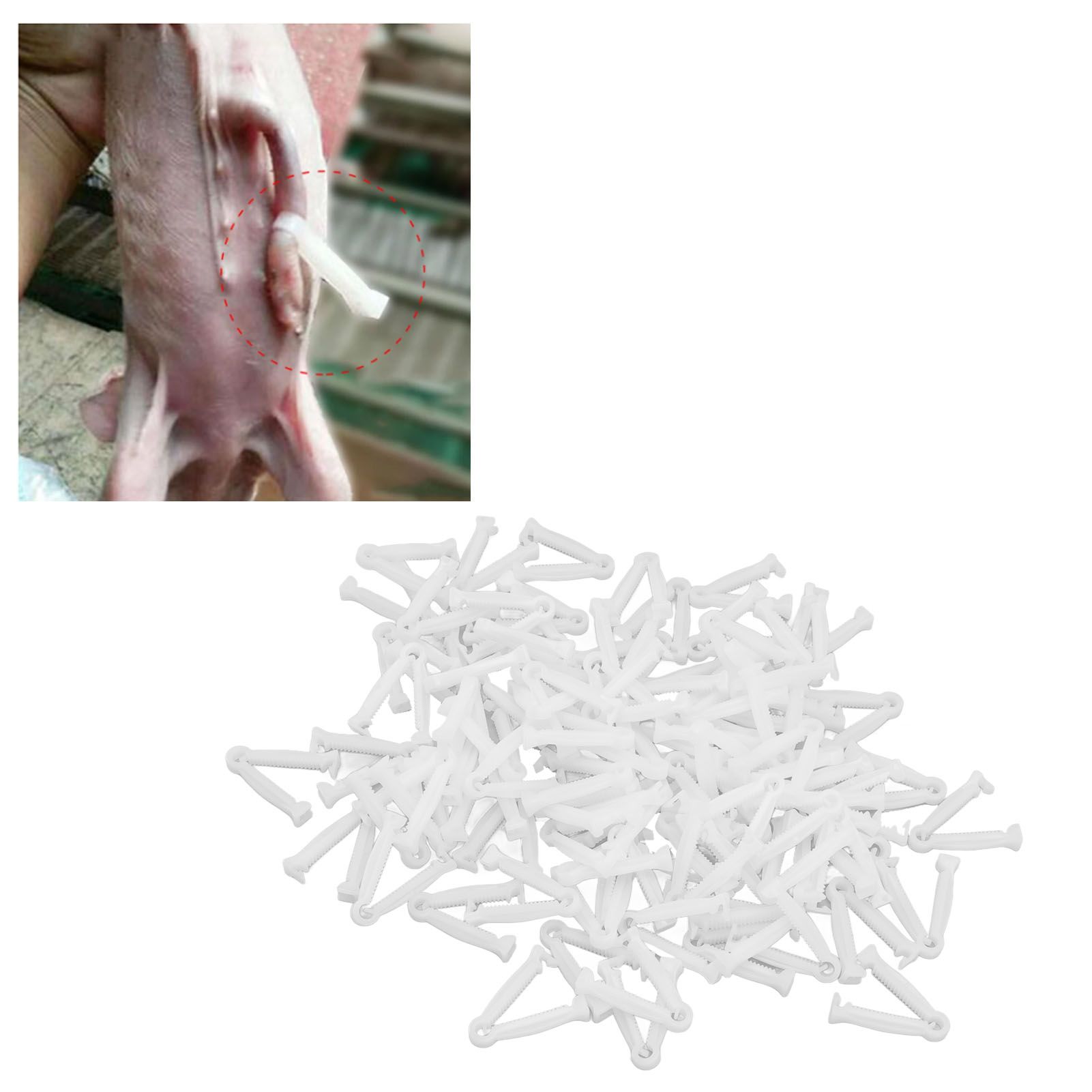 100pcs Pig Umbilical Cord Clamps White Plastic Livestock Umbilical Cord Clips view 12