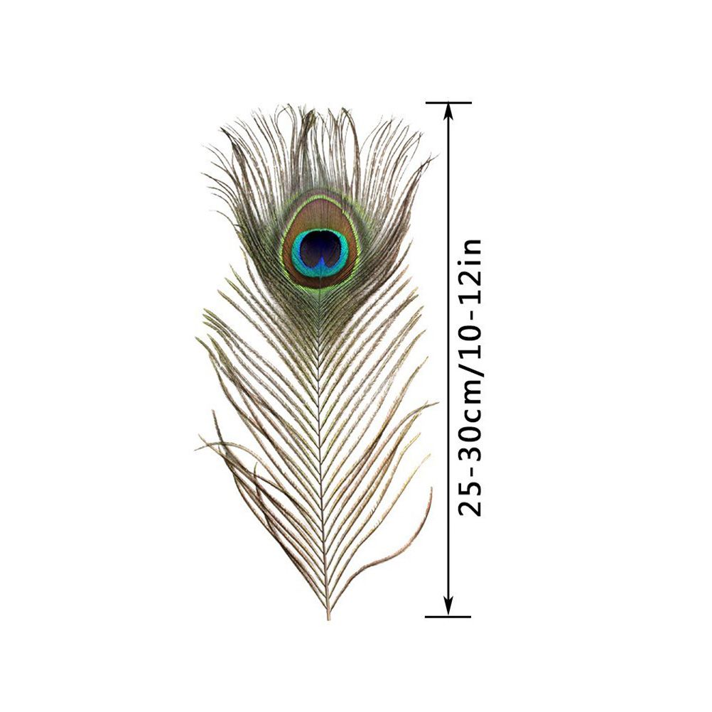 10PCS Natural Peacock Feather for House DIY Craft Holiday Wedding Decorations view 2