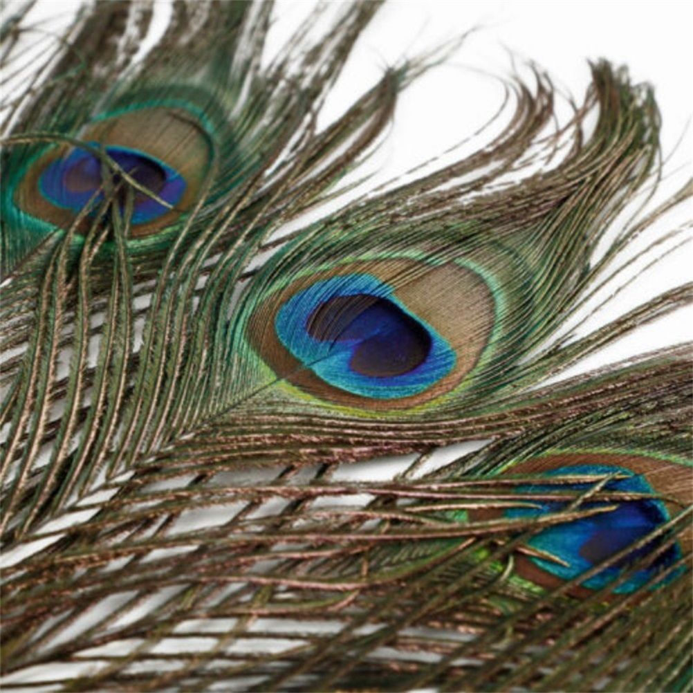 10PCS Natural Peacock Feather for House DIY Craft Holiday Wedding Decorations view 3