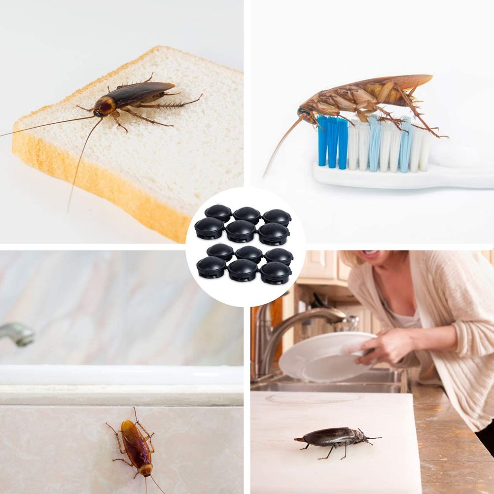 12Pcs Roach Traps Cockroach Killer Built In Bait Indoor Home Cockroach Bait view 4