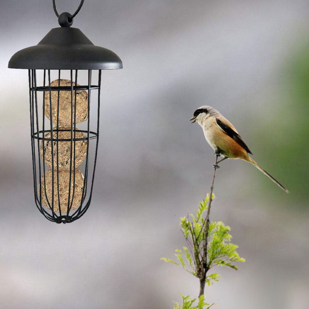 Outdoor Bird Feeder Hanging Fat Ball Holder Metal Bird Feeder Bird Food Dispenser view 5