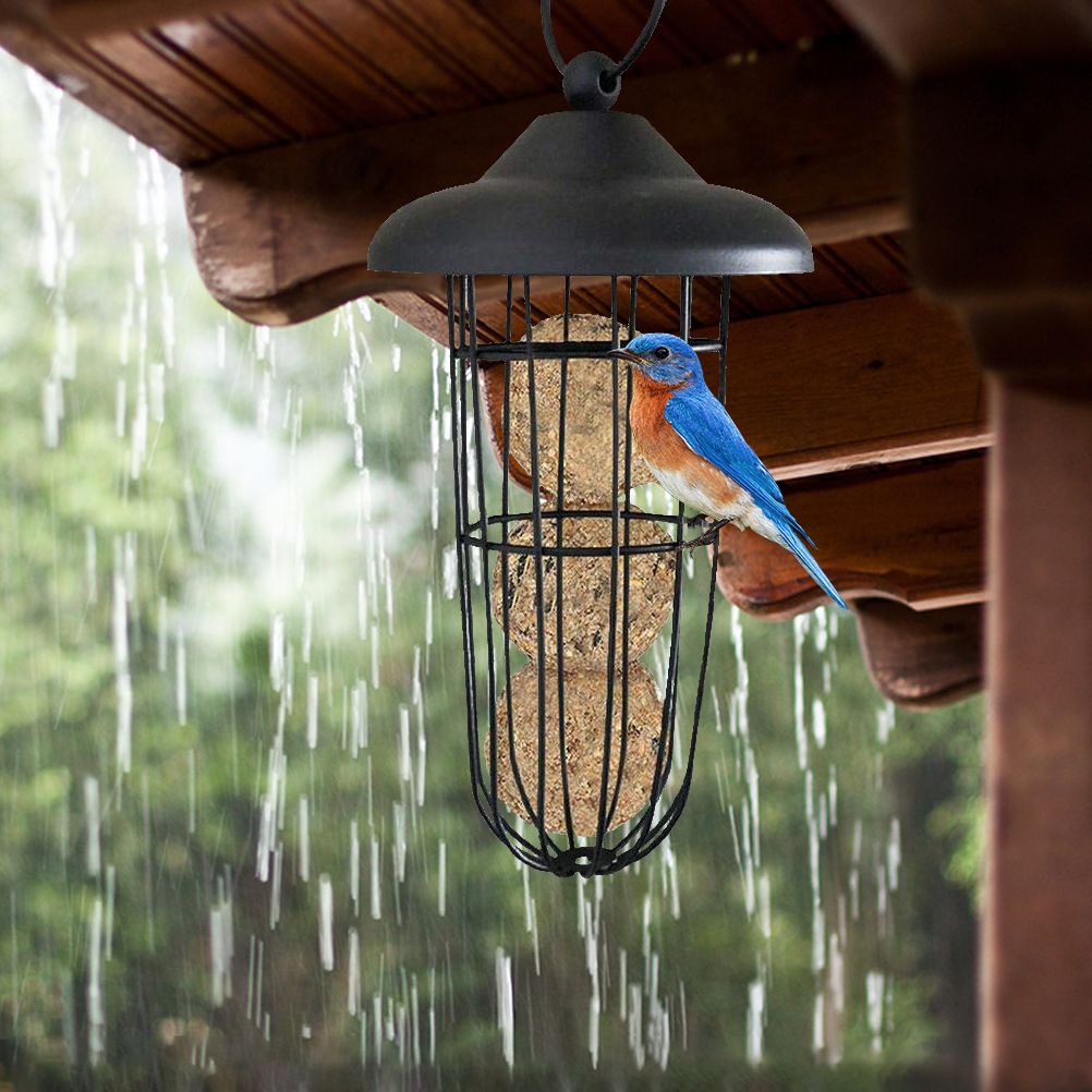 Outdoor Bird Feeder Hanging Fat Ball Holder Metal Bird Feeder Bird Food Dispenser view 7