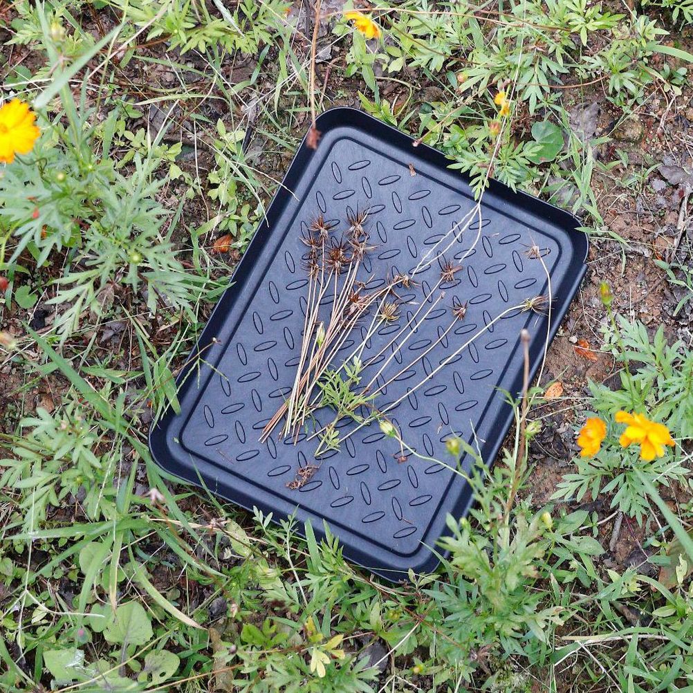3Pcs Washable Boot Tray Garden Shoe Plate Multifunctional Tray for Plants Pets view 10