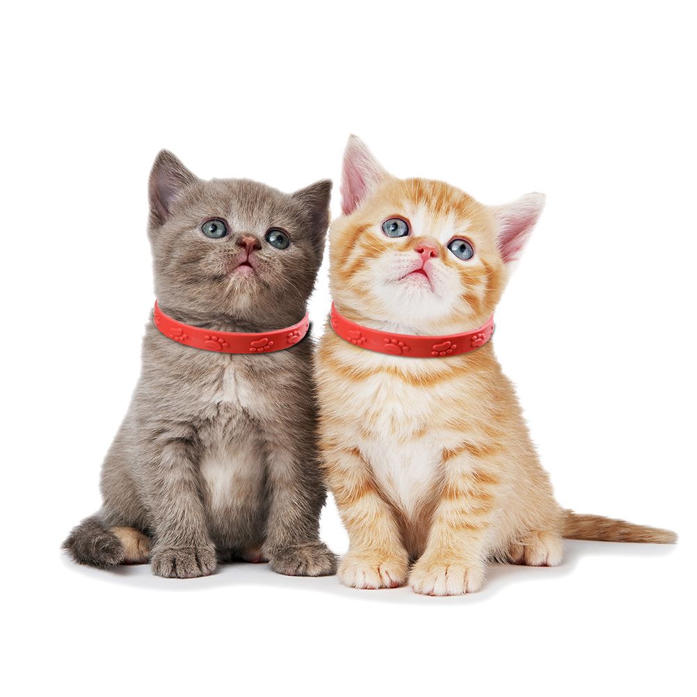 3 Pcs Red Adjustable Pet Cat Anti Flea Mite Tick Collar Cat Flea Prevention view 5
