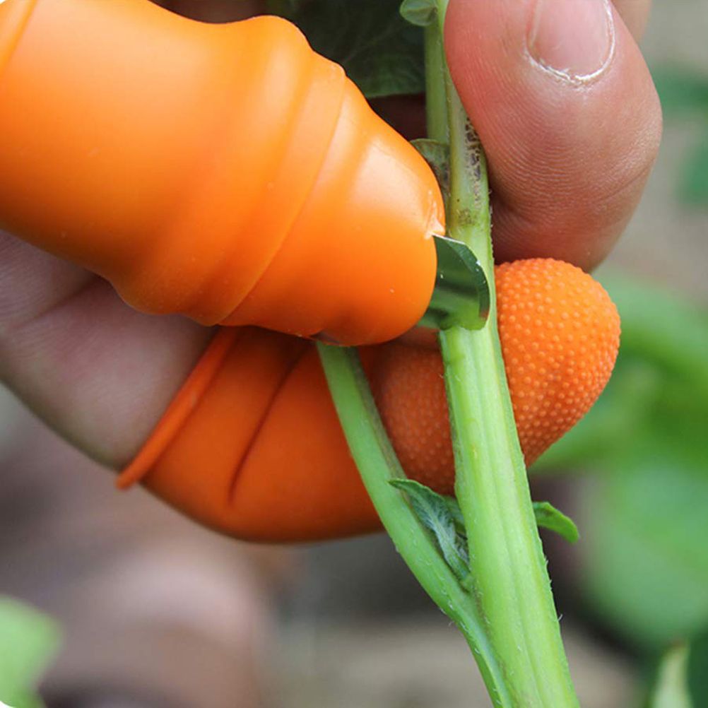Picking Thumb Cutter Finger Sleeve Set Picking Tool for Harvesting Plant view 10