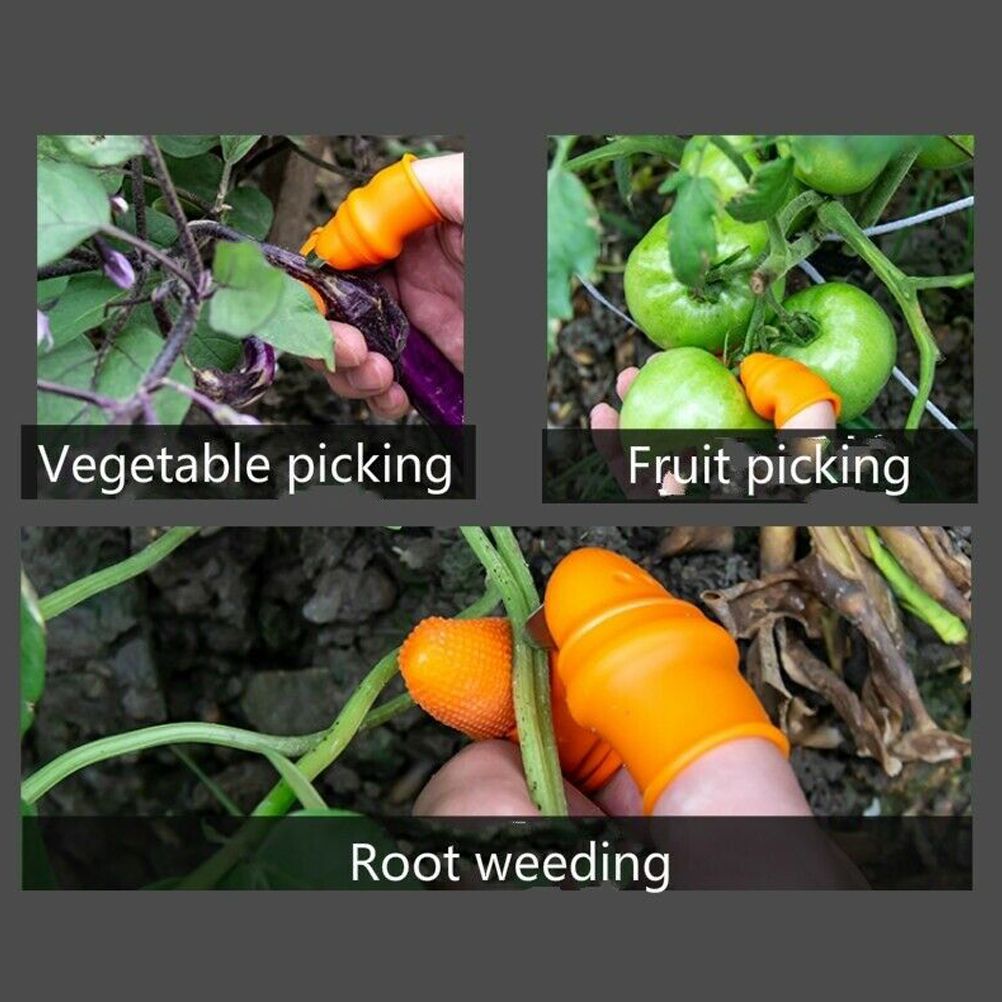 Picking Thumb Cutter Finger Sleeve Set Picking Tool for Harvesting Plant view 5
