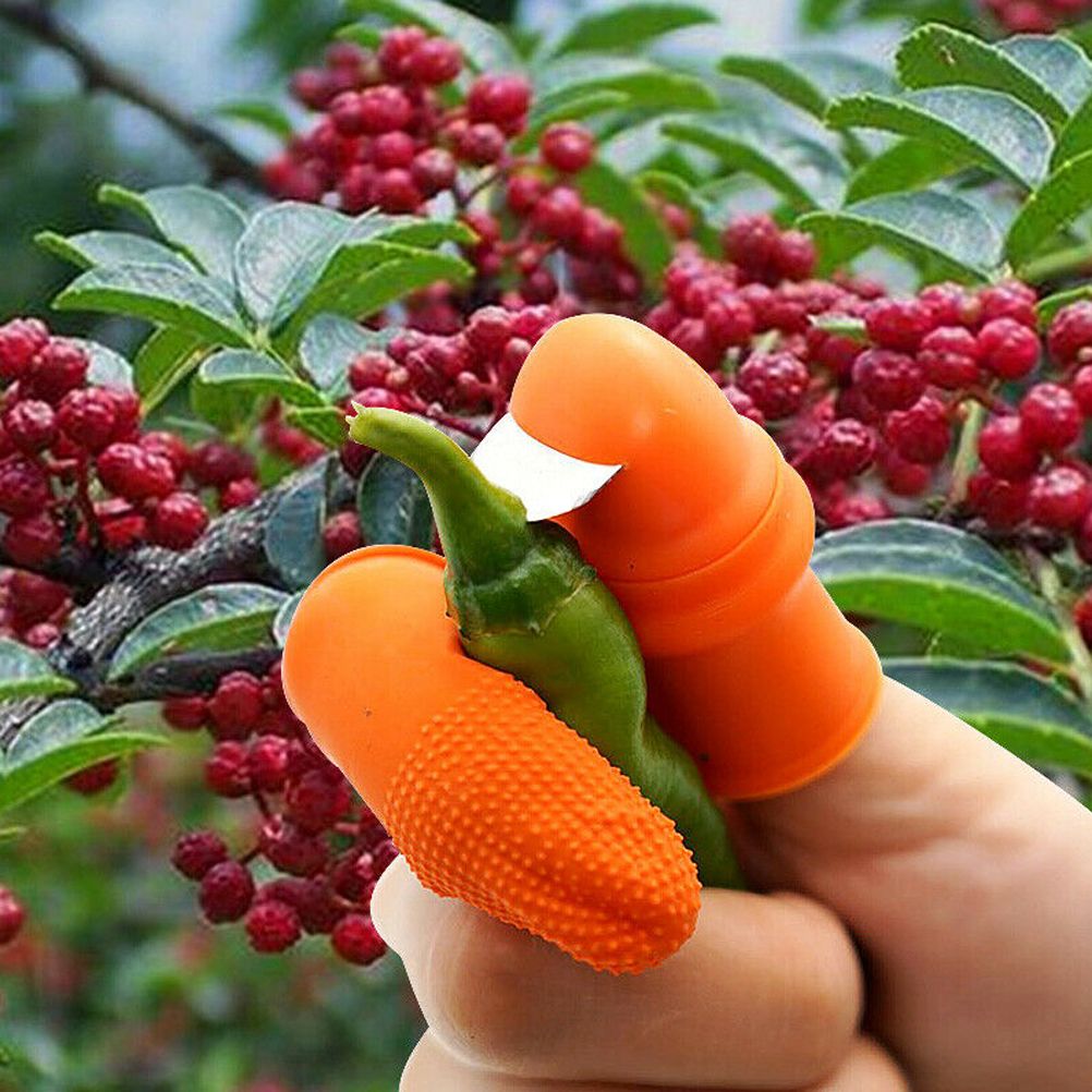Picking Thumb Cutter Finger Sleeve Set Picking Tool for Harvesting Plant view 7