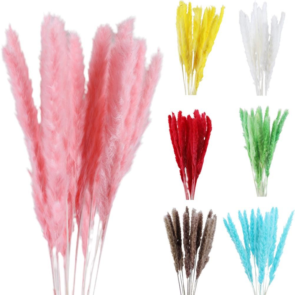 Small Dried Pampas Grass Phragmites Decoration Natural Small Pampas Grass view 2