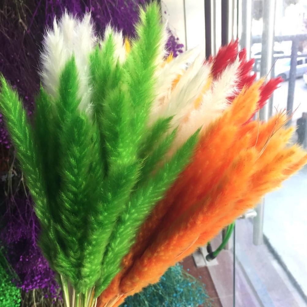Small Dried Pampas Grass Phragmites Decoration Natural Small Pampas Grass view 3