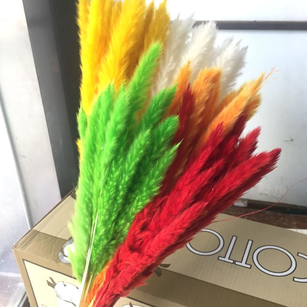 Small Dried Pampas Grass Phragmites Decoration Natural Small Pampas Grass view 5