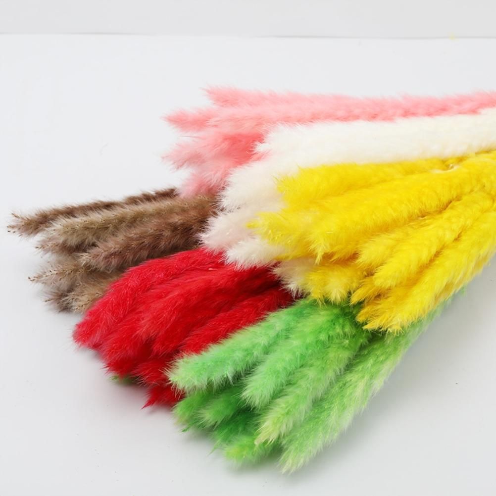 Small Dried Pampas Grass Phragmites Decoration Natural Small Pampas Grass view 10