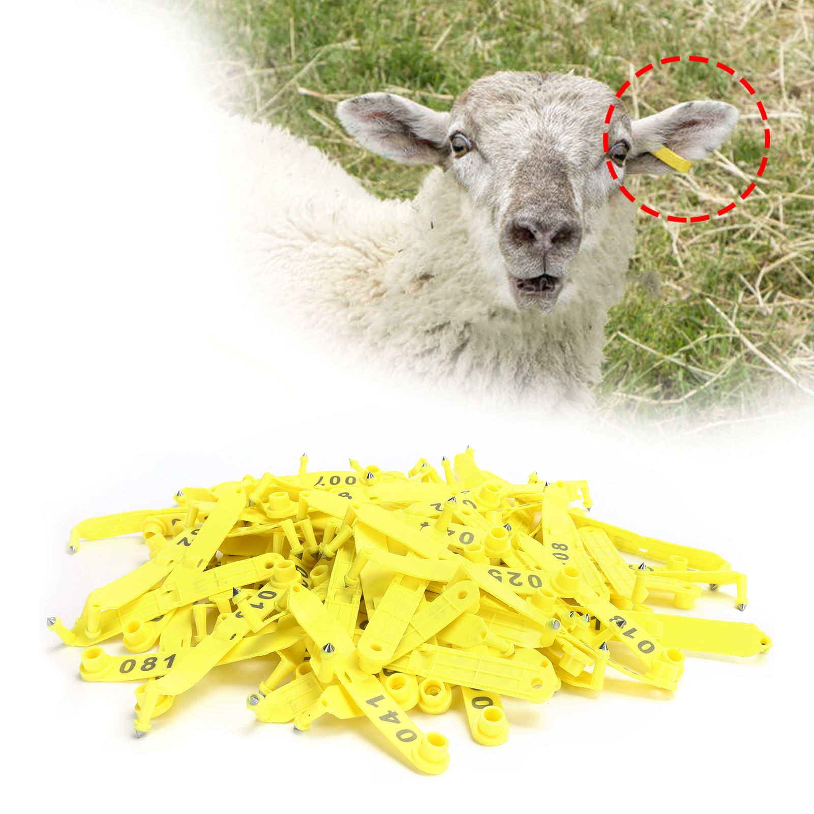 100Pcs Sheep Ear Tag Double Folded Yellow Integrated Number Animal view 9