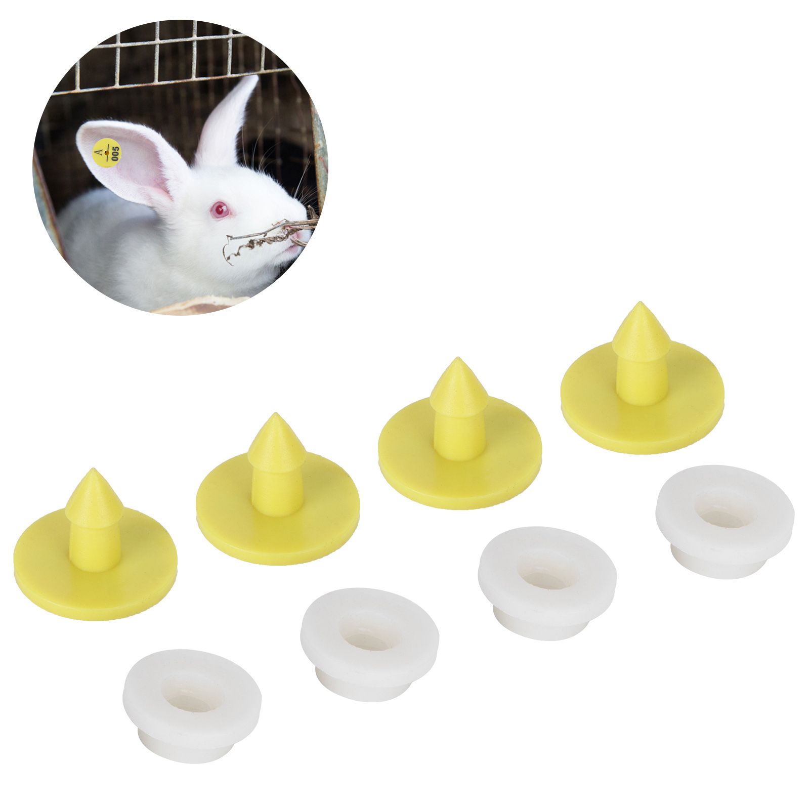 100Pcs Rabbit Ear Tag Number Dog Ear Marker Identification Card Information view 10