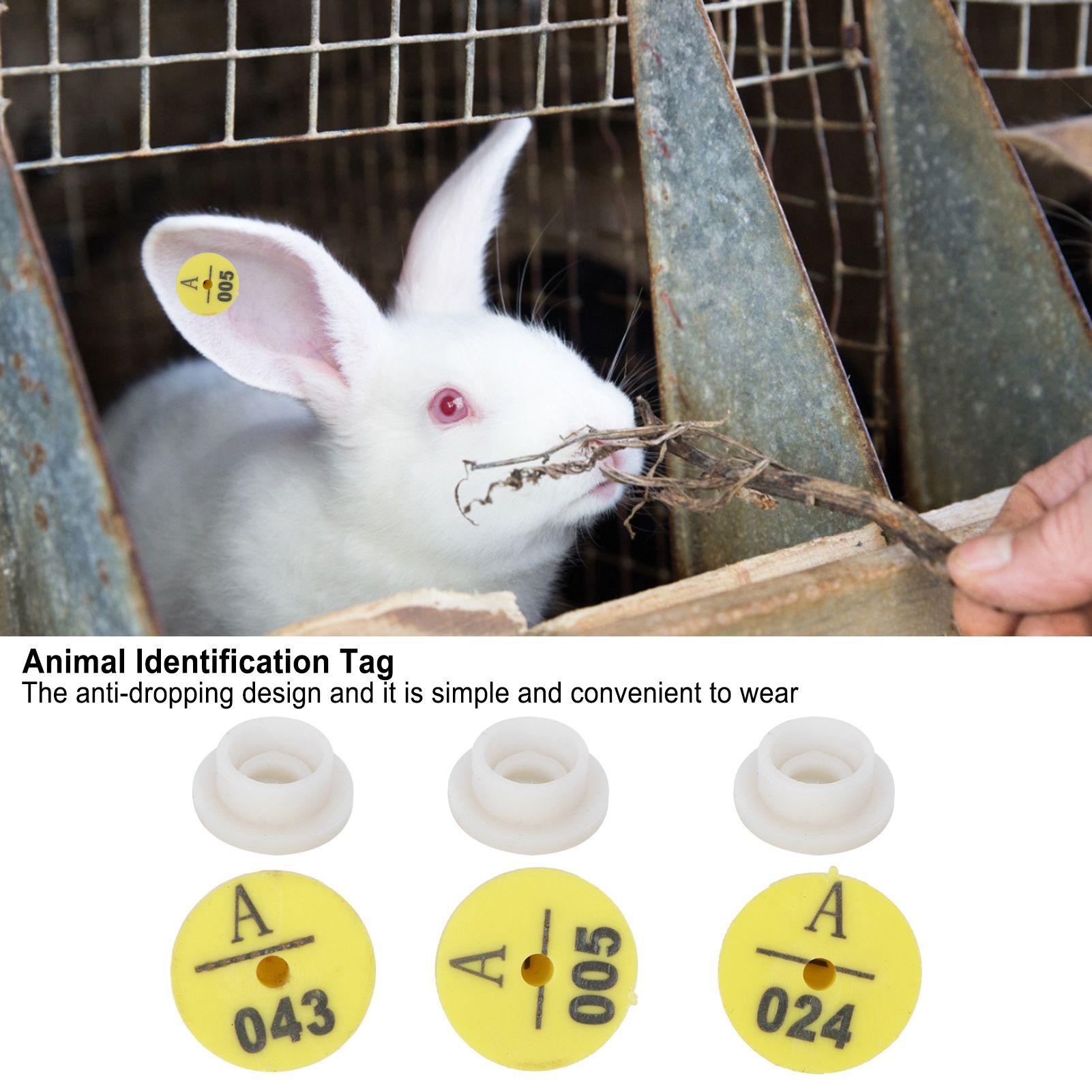 100Pcs Rabbit Ear Tag Number Dog Ear Marker Identification Card Information view 15