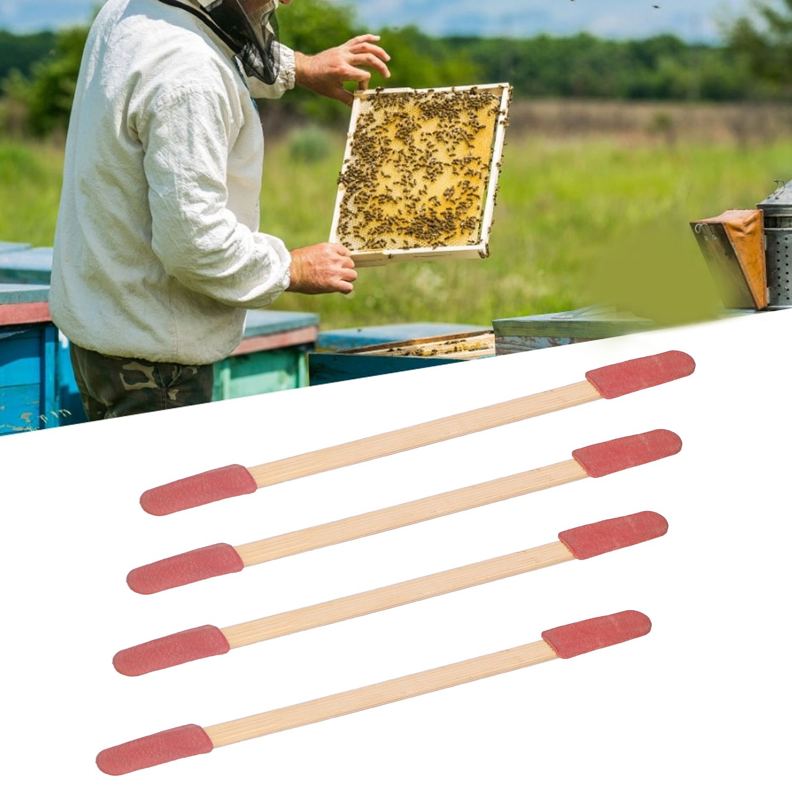 50PCS Beekeeping Equipment Bamboo Take Pulp Pen Double-Headed Royal Honey view 10
