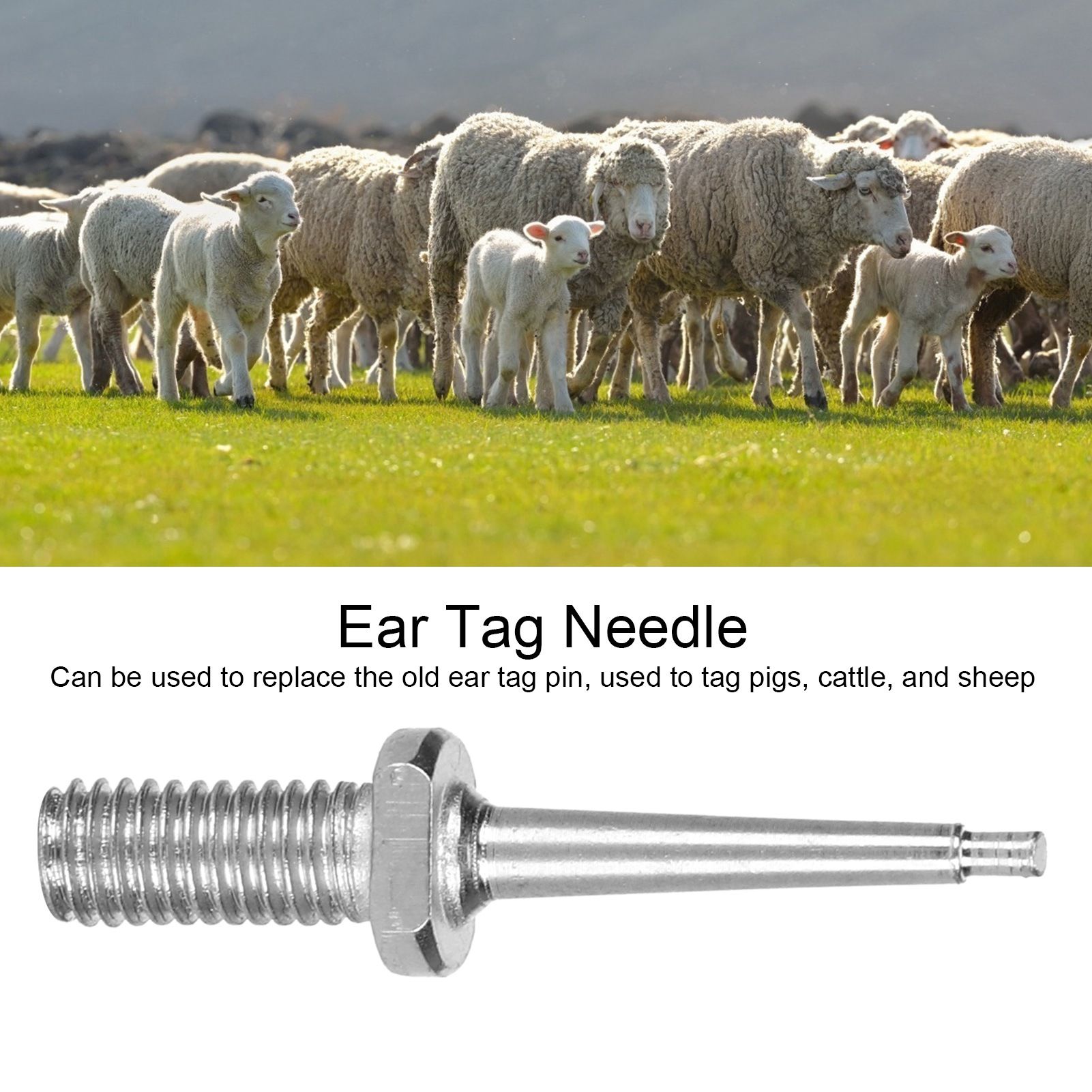 10pcs Ear Tag Pin Stainless Steel Livestock Ear Tag Plier Accessory for Cattle view 15
