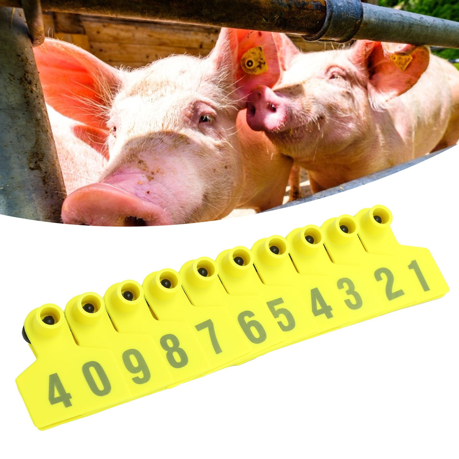 No.001‑100 Farm Pig Ear Tag Livestock Ear Tag Labels Set Poultry Breeding Supplies view 9