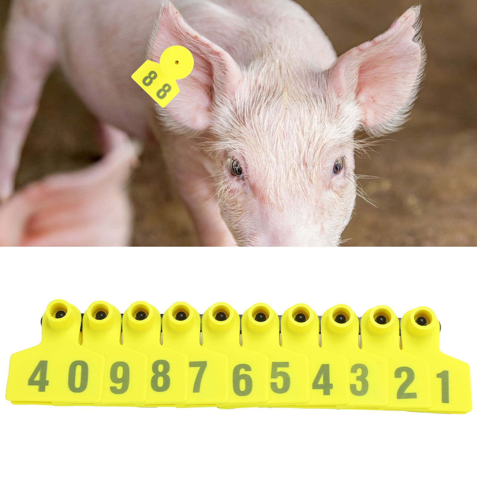 No.001‑100 Farm Pig Ear Tag Livestock Ear Tag Labels Set Poultry Breeding Supplies view 10