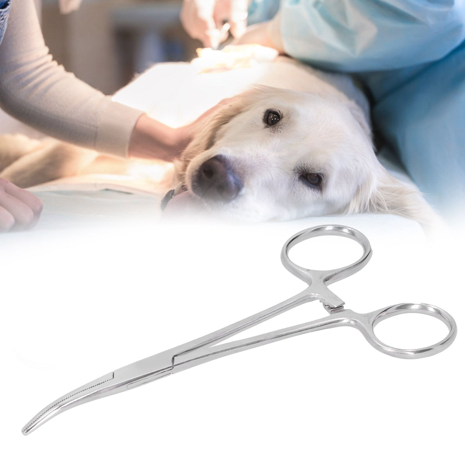 Hemostatic Forceps 14cm Stainless Steel Curved Tip Pliers Pet Hair Tweezers view 10