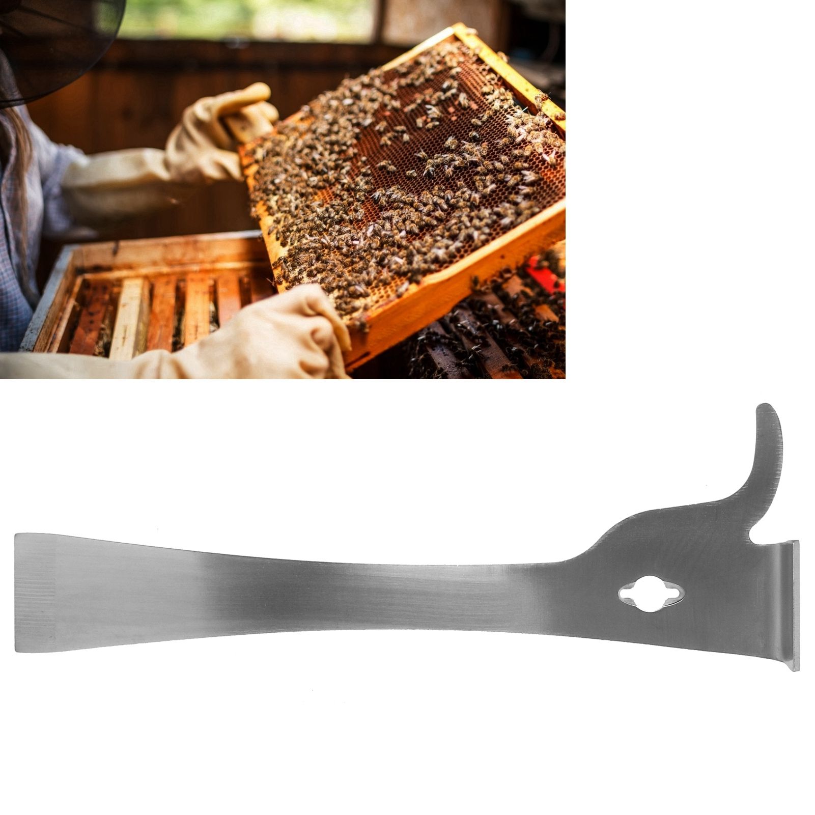 Stainless Steel Beehive Frame Cleaner Honey Scraper Knife Beekeeping view 10