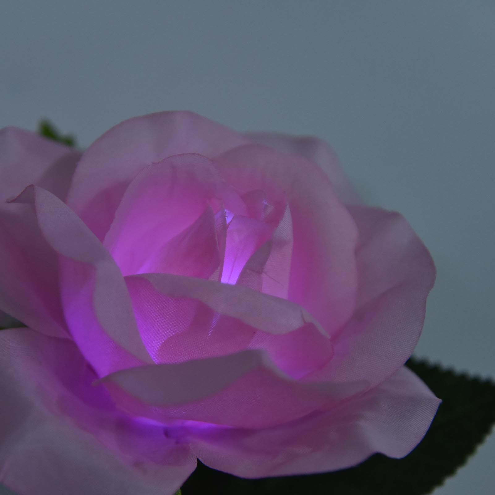 Solar Rose Light 4 Head IP65 Waterproof Decorative LED Flower Landscape Lamp view 14