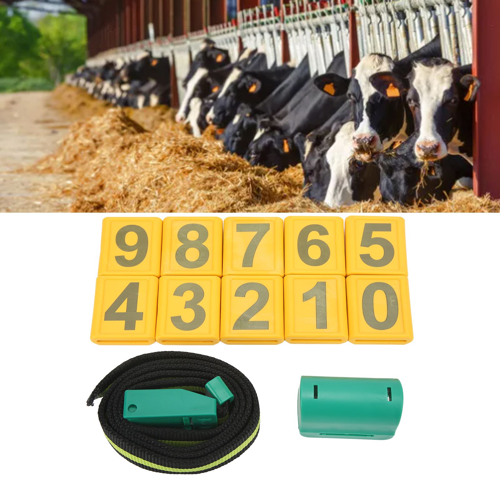 Cow Collar Wear Resistant Plastic Animal Collar with Pedometer 10 Number Plate view 11