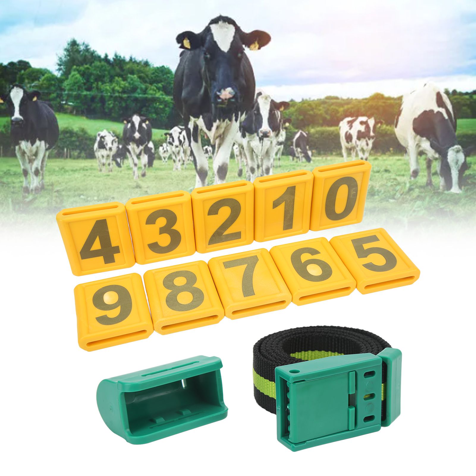 Cow Collar Wear Resistant Plastic Animal Collar with Pedometer 10 Number Plate view 12