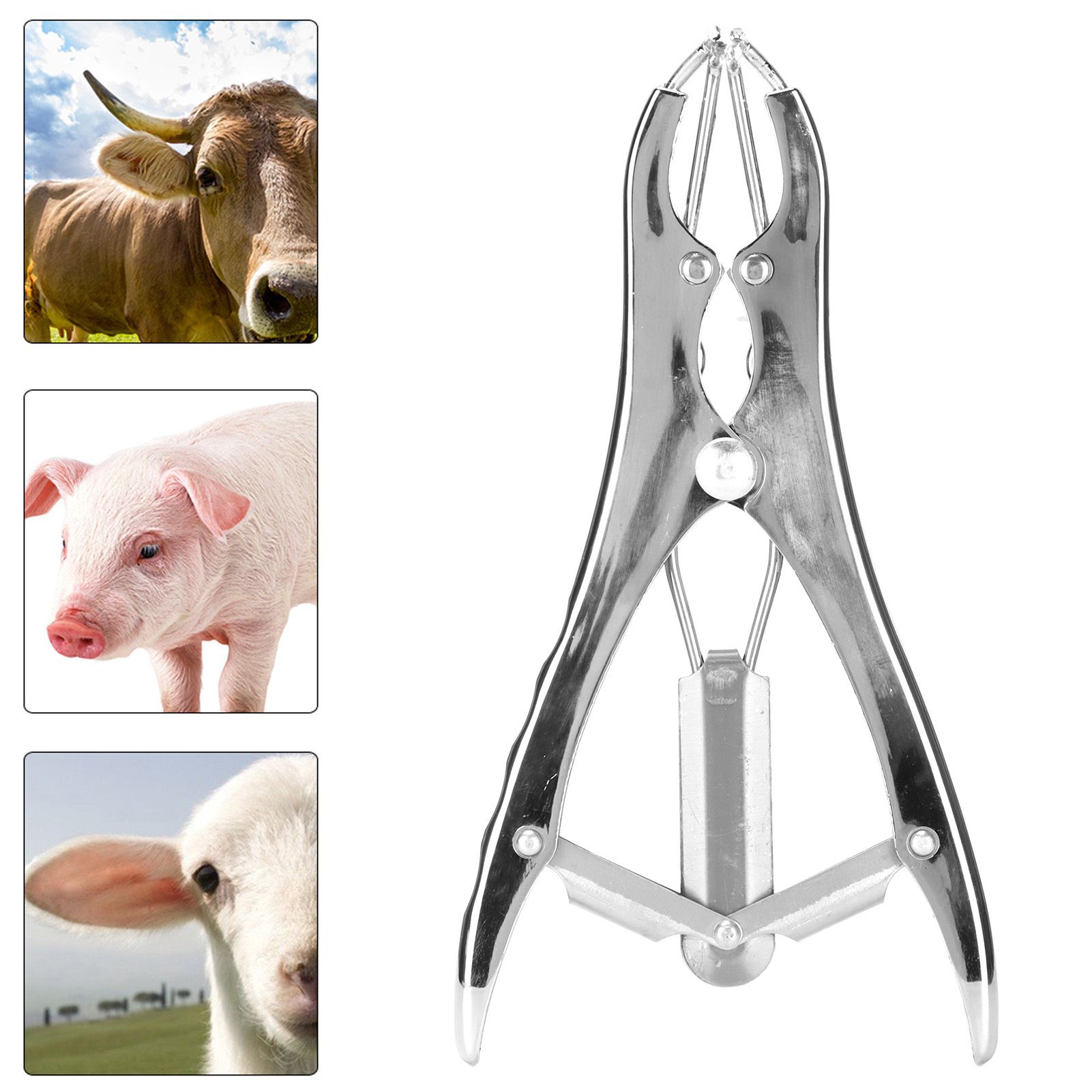 Castration Pliers Aluminium Alloy Bloodless Elastic Tail Docking Clamp for view 12