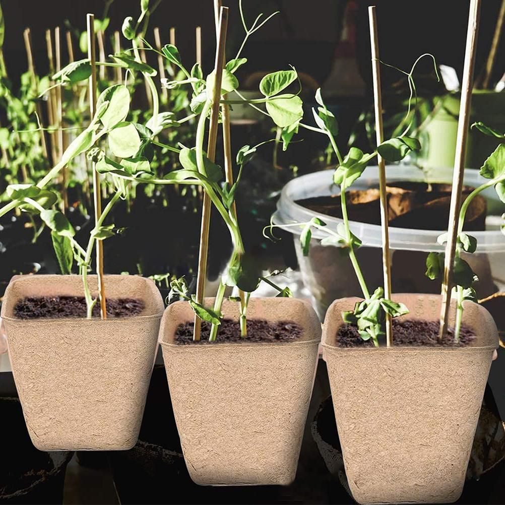 Plant Starter Peat Pots with Labels Flower Vegetable Seedlings Nursery Cup view 4
