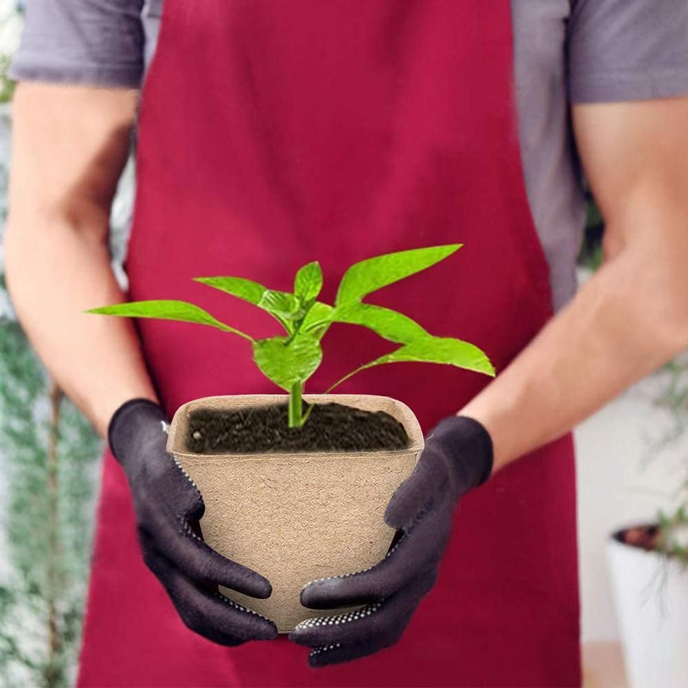 Plant Starter Peat Pots with Labels Flower Vegetable Seedlings Nursery Cup view 5