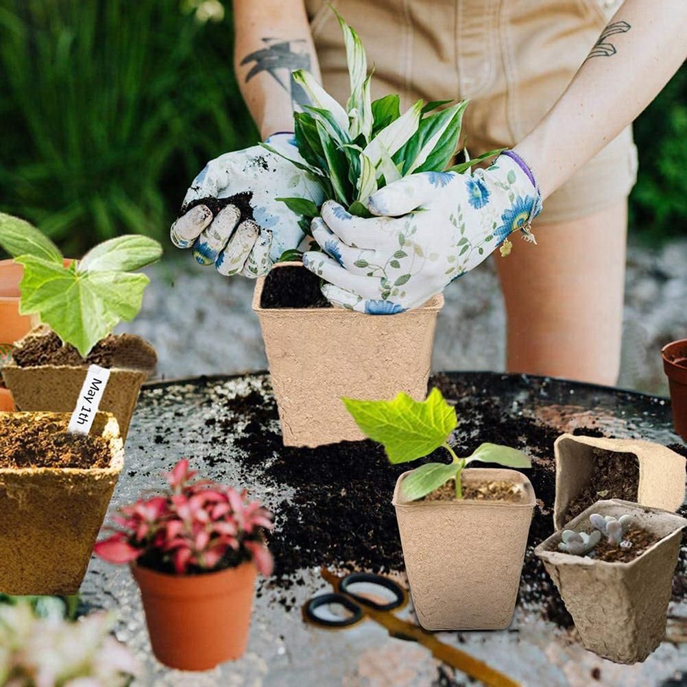 Plant Starter Peat Pots with Labels Flower Vegetable Seedlings Nursery Cup view 6