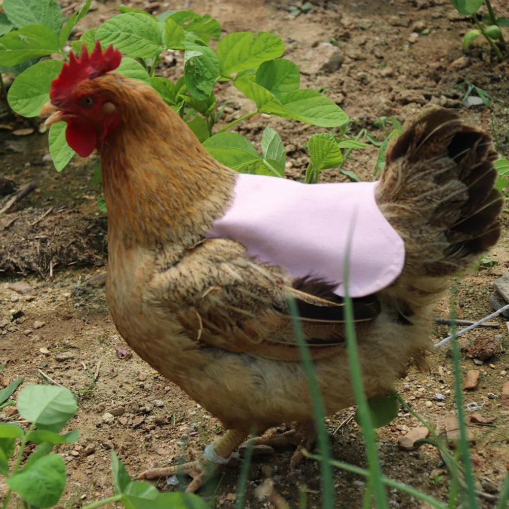 Canvas Chicken Apron Hen Saddle Vest Hen Duck Wing Protection Chicken Jackets view 4