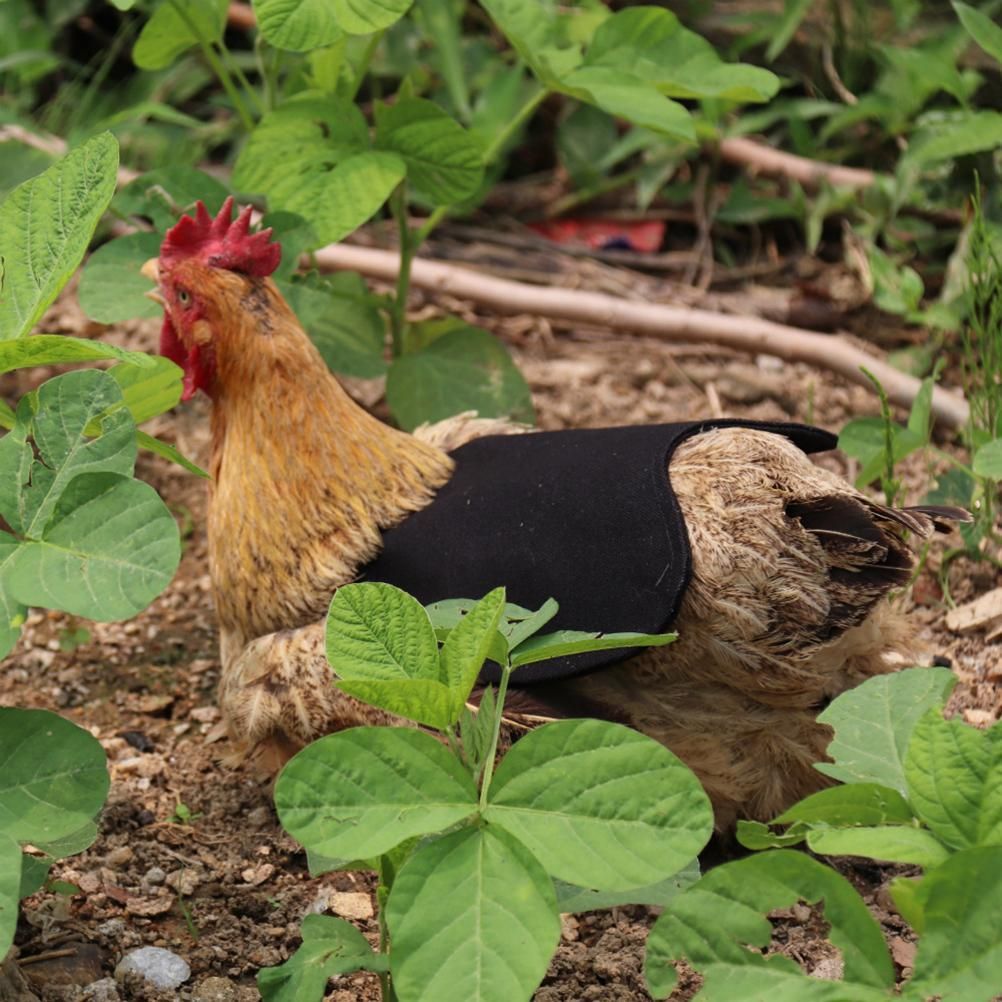 Canvas Chicken Apron Hen Saddle Vest Hen Duck Wing Protection Chicken Jackets view 5
