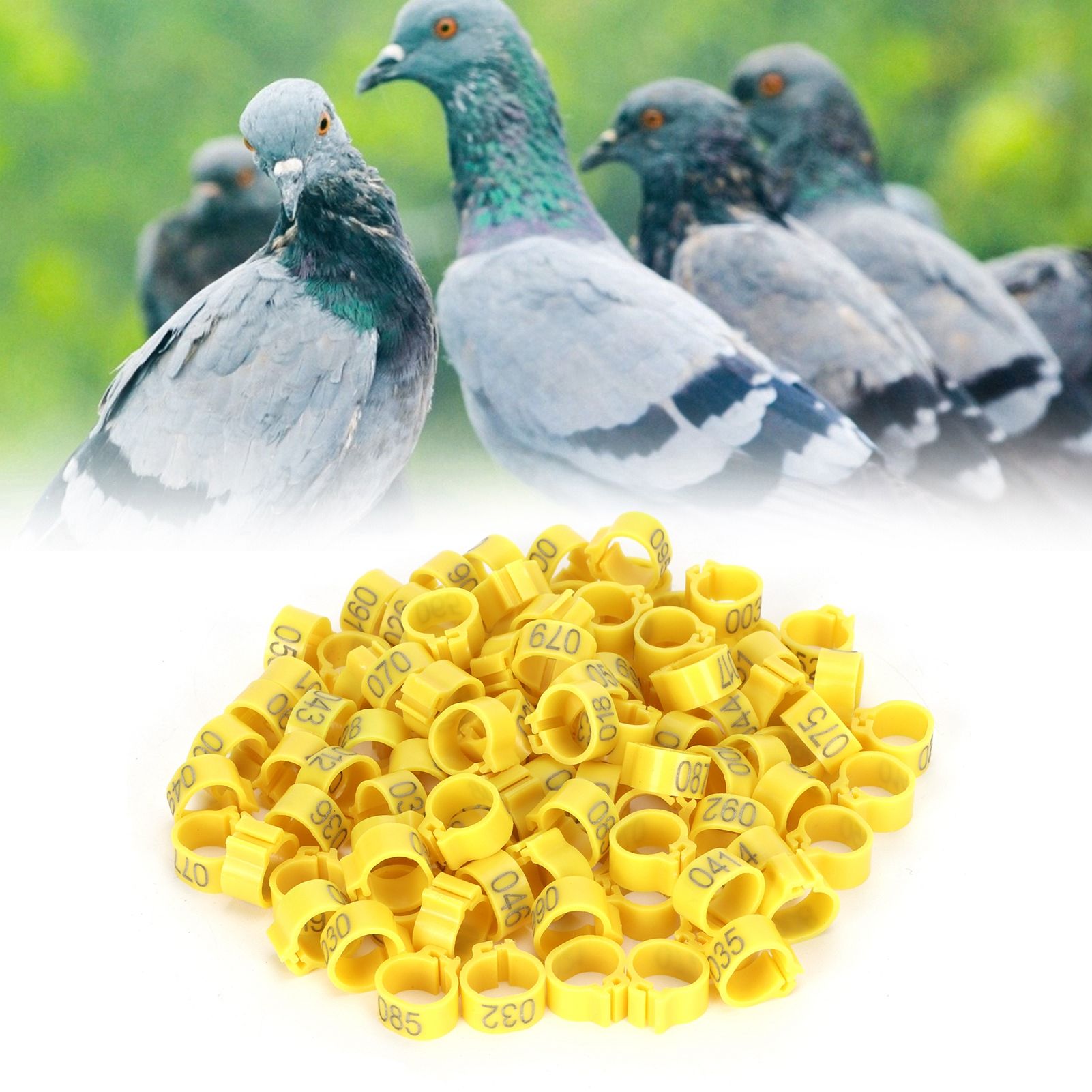 100Pcs Bird Foot Rings Bands 10mm 001-100 Numbered Pigeons Identify Clip view 9