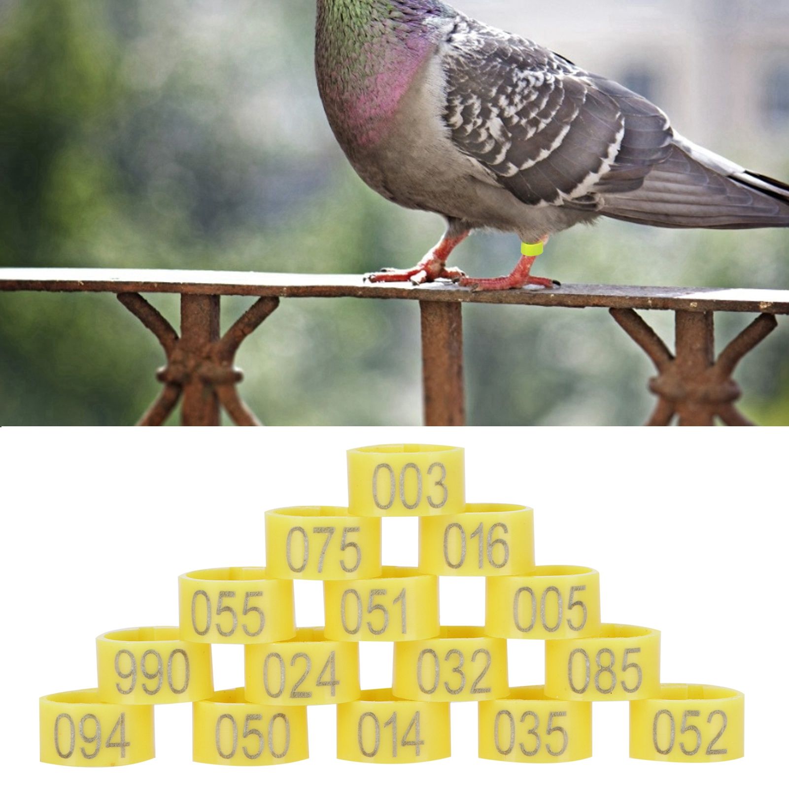 100Pcs Bird Foot Rings Bands 10mm 001-100 Numbered Pigeons Identify Clip view 10