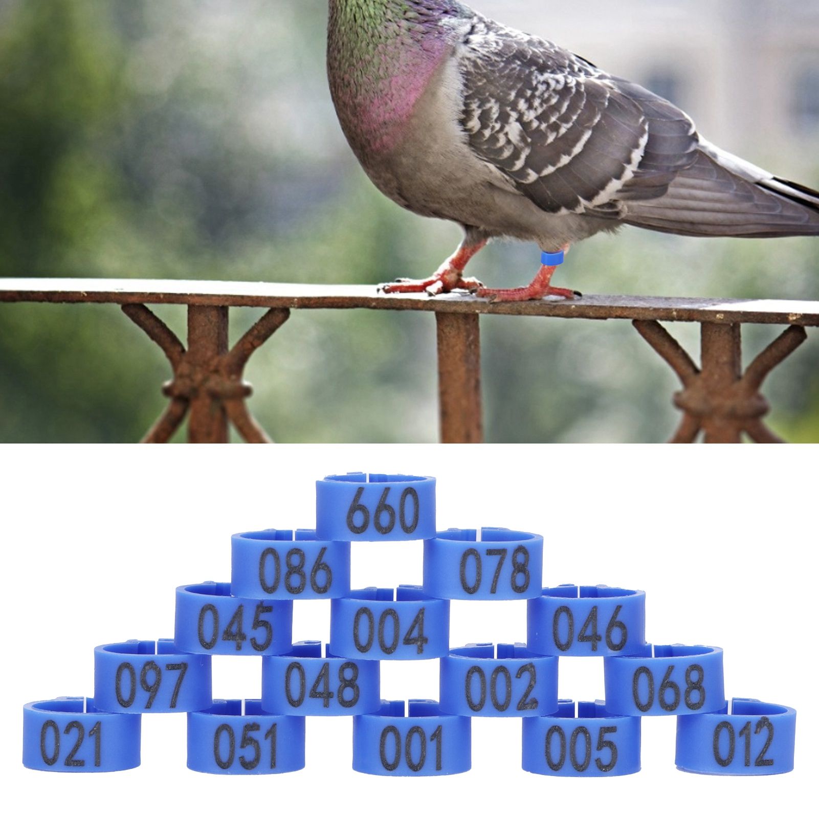 100Pcs Bird Foot Rings Bands 10mm 001-100 Numbered Pigeons Identify Clip view 10