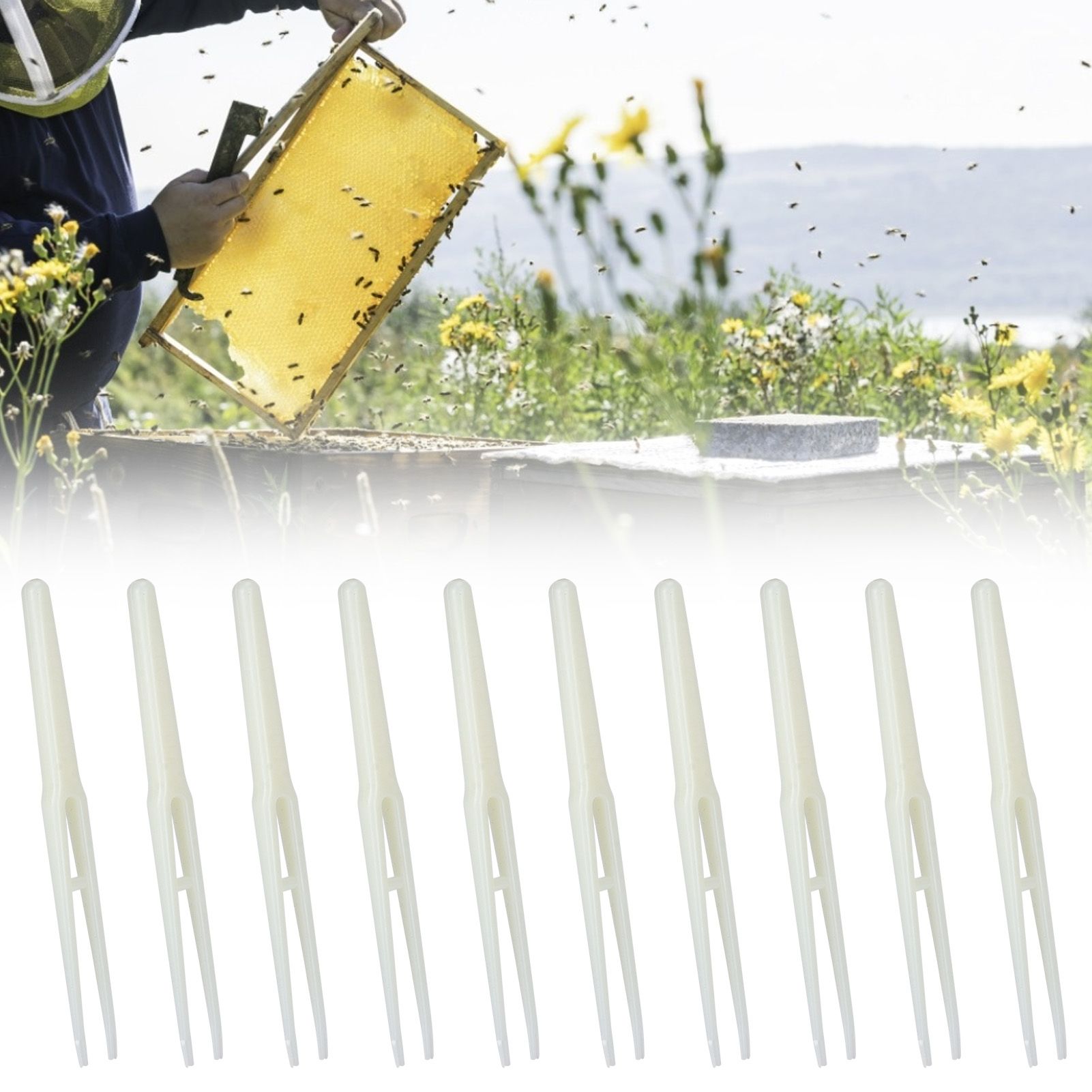 10PCS Beekeeping Birth Control Tweezers Apiculture Equipment Beekeeper view 10