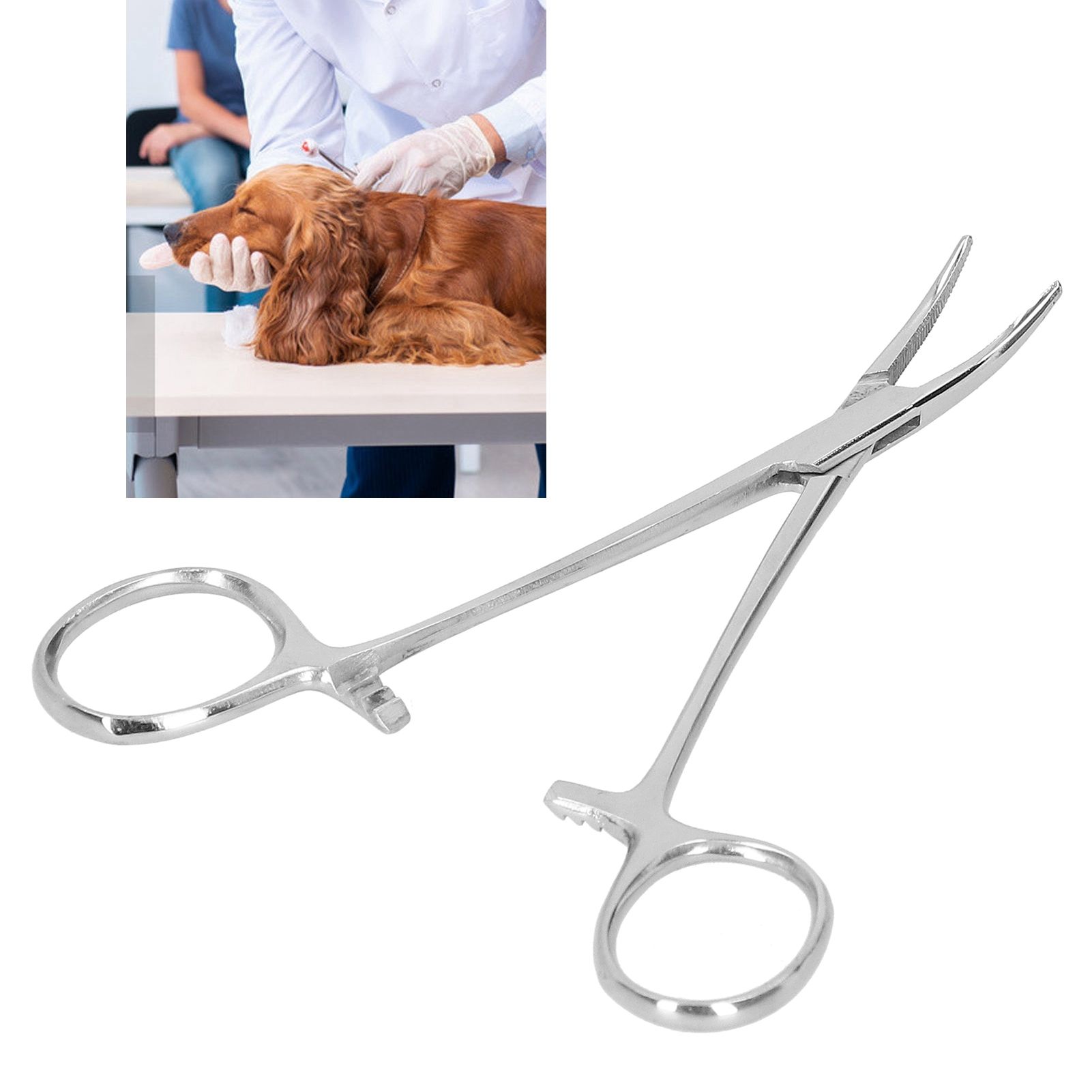 12.5cm Curved Hemostatic Forceps Stainless Steel Hair Tweezers Pliers view 10
