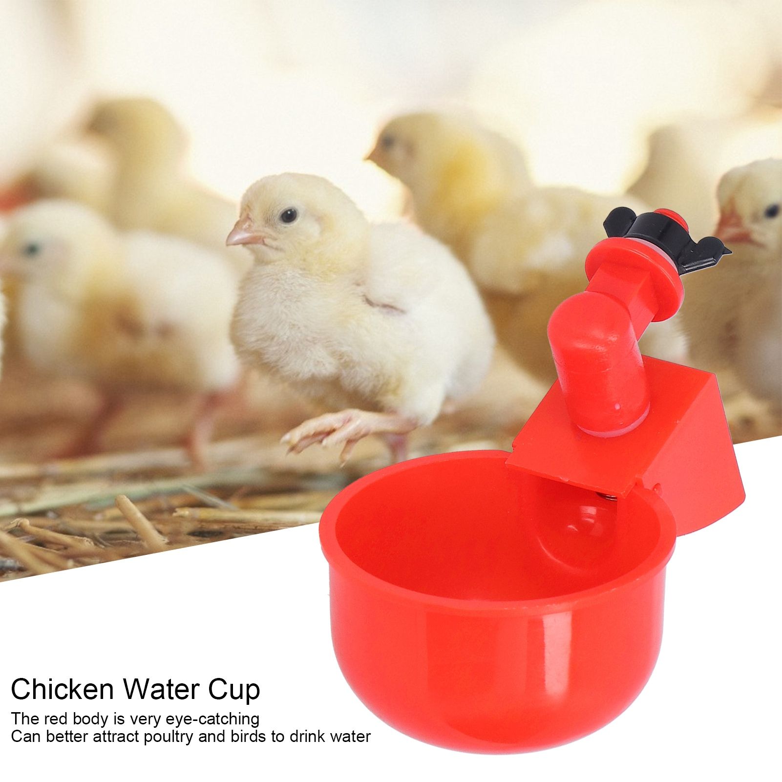 2pcs Automatic Chicken Water Cup Red Plastic Drinking Bowl for Poultry Pigeon Bird view 15