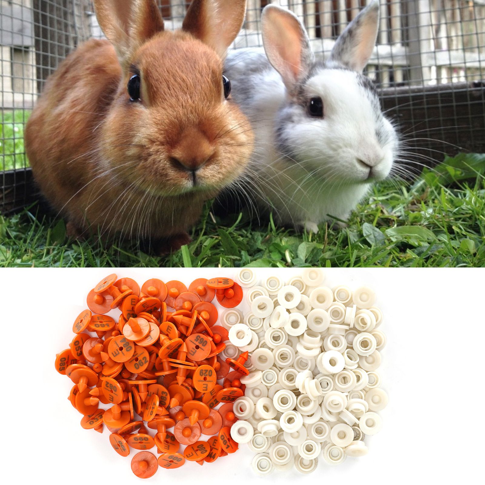 100 Sets Rabbits Ear Tag Numbered Ear Marker Animal Identification Tag Label view 9