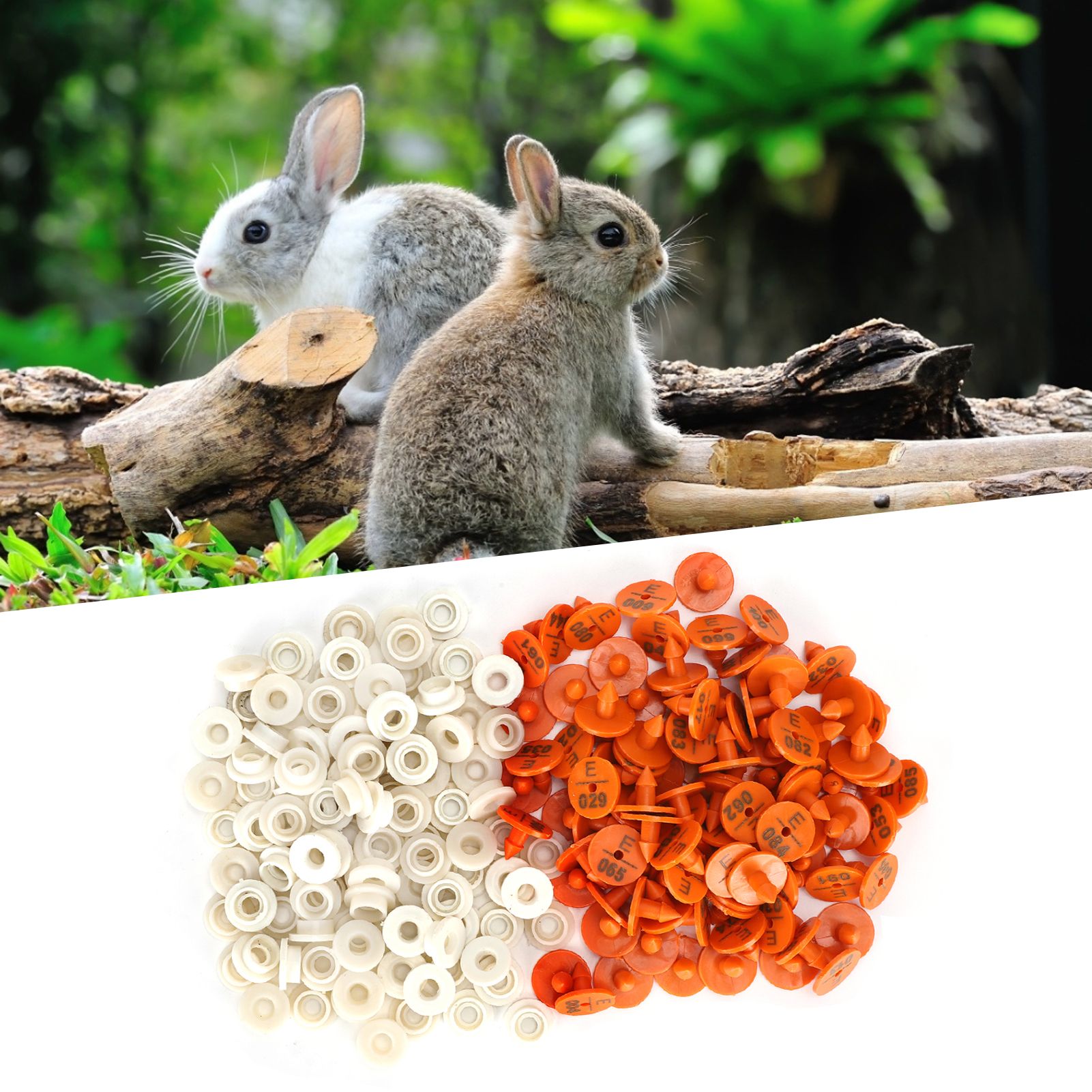 100 Sets Rabbits Ear Tag Numbered Ear Marker Animal Identification Tag Label view 10