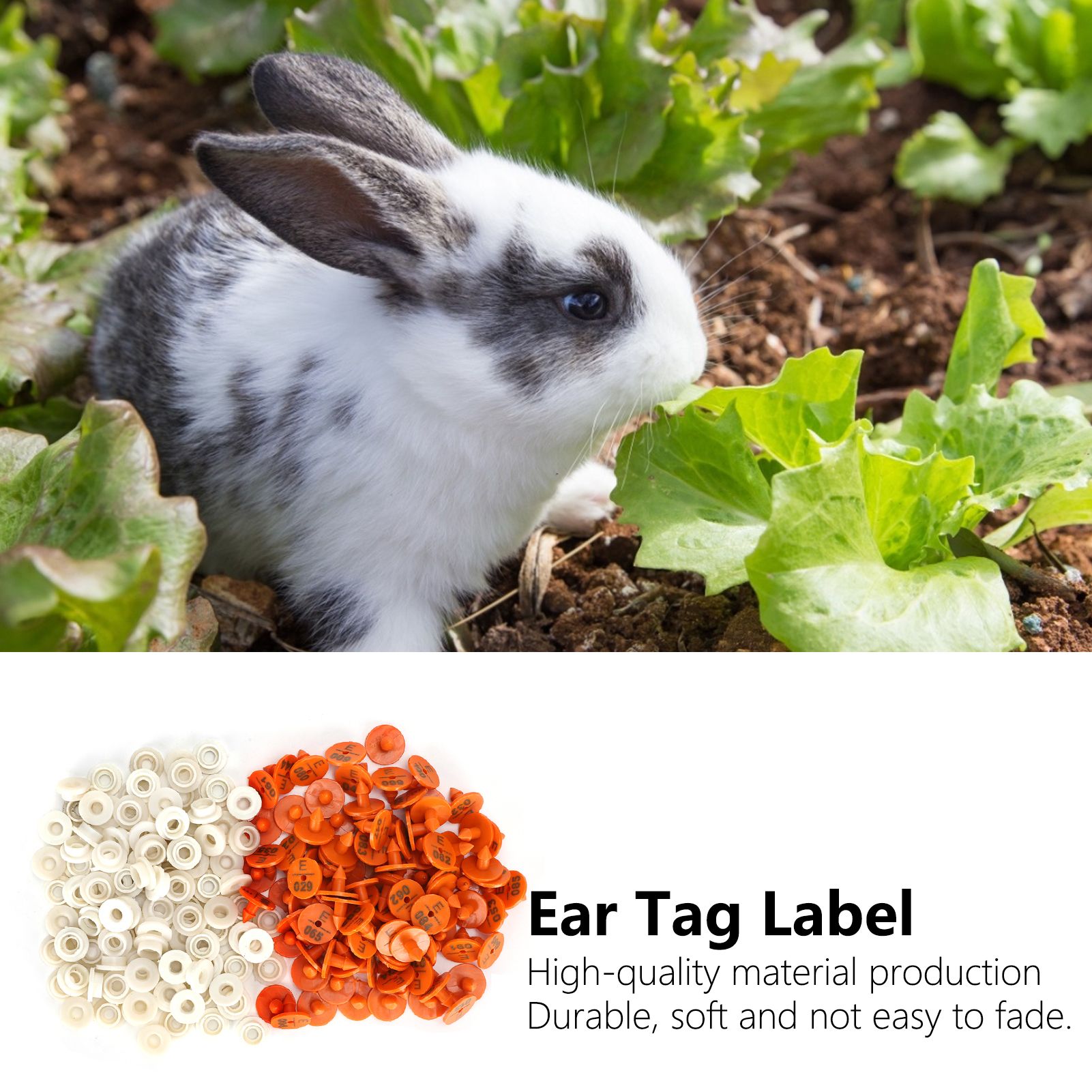 100 Sets Rabbits Ear Tag Numbered Ear Marker Animal Identification Tag Label view 12