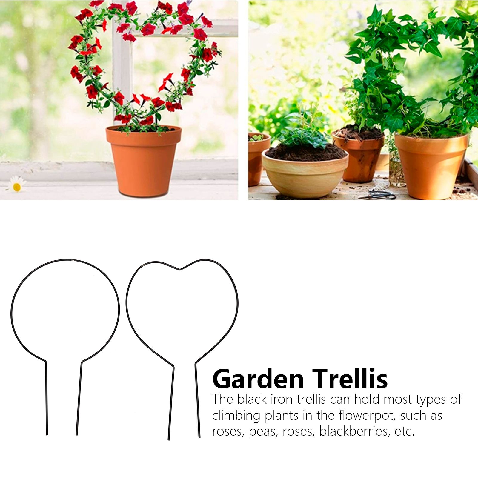 2pcs Vine Plant Support Wire Iron Garden Trellis Potted Climbing Plants Holder view 14
