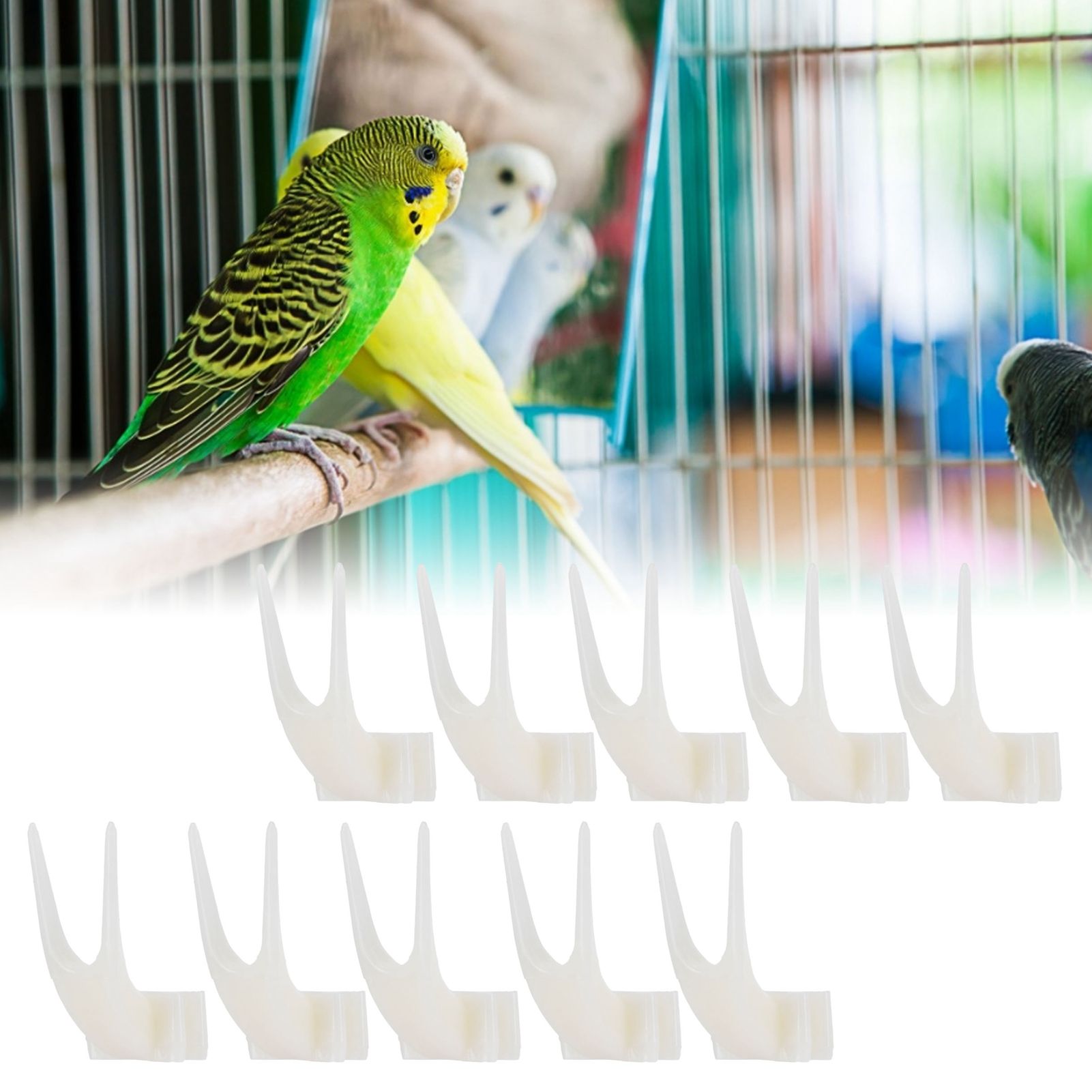 20PCS Bird Fruit Fork Plastic Birds Food Feeder Tool Pet Supplies Birdcage view 15